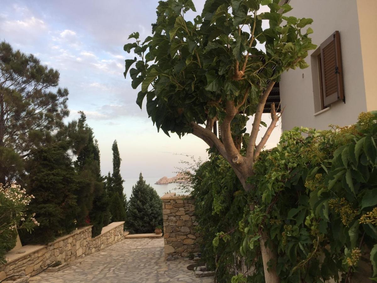 Natica Mare Villas Xerokampos  Exterior foto